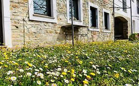 B&b Al Giardino Dei Mandorli